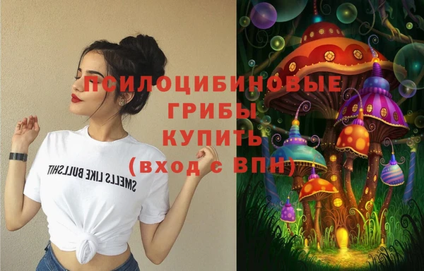 ГАЛЛЮЦИНОГЕННЫЕ ГРИБЫ Алексин