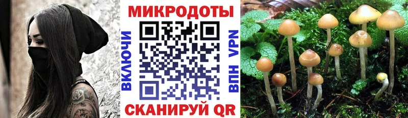 даркнет сайт  Хвалынск  Галлюциногенные грибы прущие грибы 